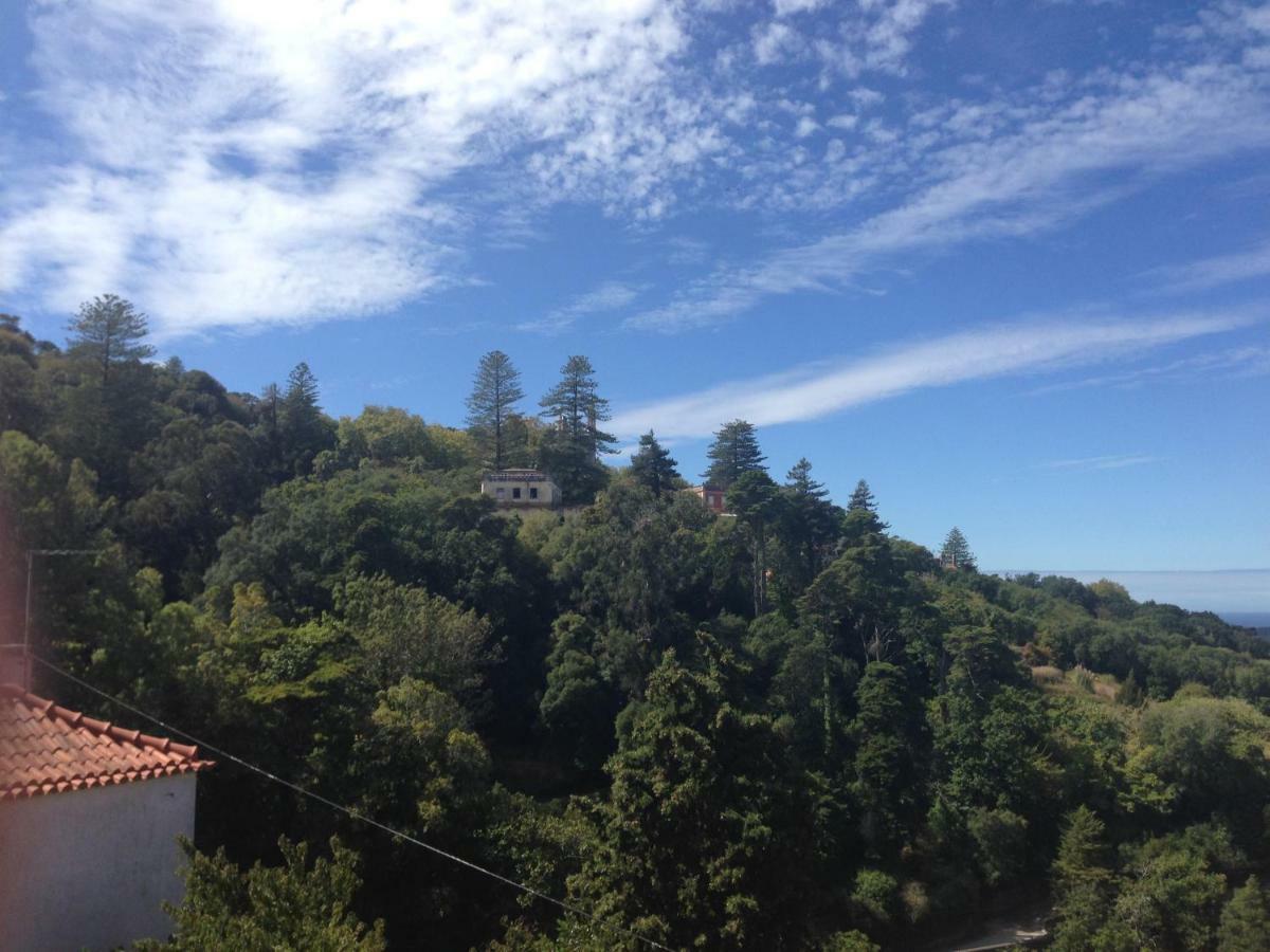 Casas Do Patio Sem Cantigas 4 Sintra Eksteriør bilde